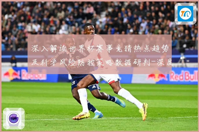深入解读世界杯赛事竞猜热点趋势及科学风险防控策略数据研判-深度解析